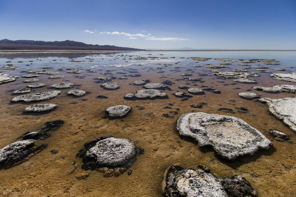 salar-de-atacama (3)